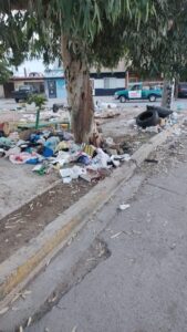 TORREÓN REFUERZA ACCIONES CONTRA QUIENES&nbsp;CONTAMINAN AL MEDIO AMBIENTE